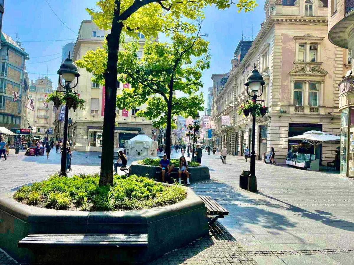 Belgrade Heart Of A Historical Center Διαμέρισμα Εξωτερικό φωτογραφία